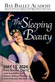 sleeping beauty bay ballet academy