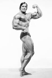 Arnold Schwarzenegger Age Height Weight Images Bio
