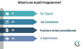 Types of Audit Programme | Contents | Diff. with Audit Plan - Finlawportal
