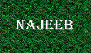 They are uploaded here, not for any bad. Najeeb 18 2g Novels