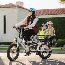 XPedition Dual-Battery Electric Cargo Bike | Lectric eBikes