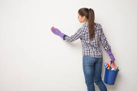 How To Clean Walls With Vinegar Before