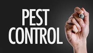 Exterminate the Competition: The Ultimate Guide to Pest Control Marketing