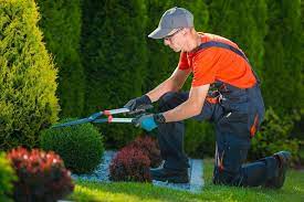 Landscaping 101 Four Spring Cleaning