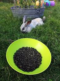 organic rabbit manure fertilizer