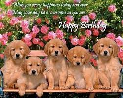 A cute puppy with a birthday hat licking a cupcake. Happy Birthday Puppy Cute Birthday Quotes For Puppies