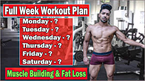 gym workout plan for muscle building