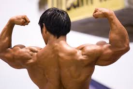 Image result for muscle mass and strength elderly