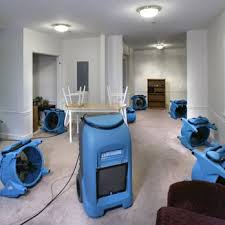 pro clean carpet care water damage