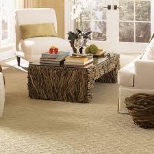 frontline carpet cleaning coffs