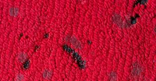 why diy carpet repair won t work for