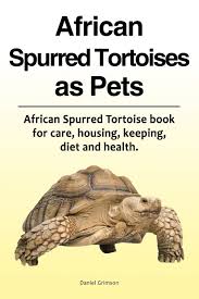 African Spurred Tortoises As Pets African Spurred Tortoise