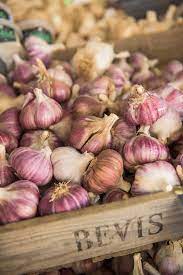How To Grow Garlic Rhs Vegetables