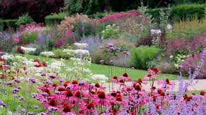 How To Plant A Blooming Border Garden