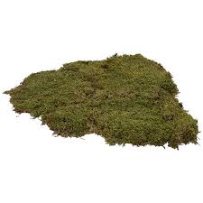 natural carpet moss 90 gr crib