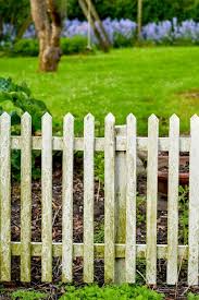 White Picket Fence And Green Grass