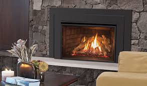 The Ex35 Gas Fireplace Insert Bay