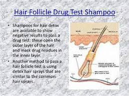 How long do drugs stay in your hair? Sigma Tax
