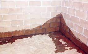 how to clean up a wet basement