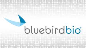 Investors Remain Skeptical About Bluebird Blue Gene