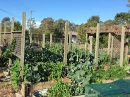 Organic Garden Build Key Principles