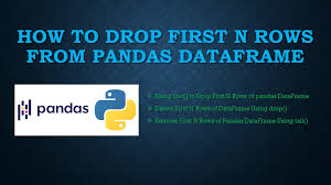 pandas drop first n rows from dataframe