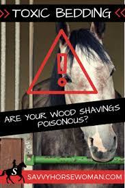 Toxic Shavings For Horses Savvy