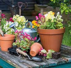 drown the plants in your container garden