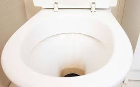 how to clean urine stain in toilet bowl