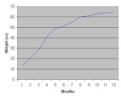 Puppy Weight Chart Puppy Growth Chart Weight Charts Puppies