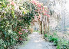 welcome magnolia plantation gardens