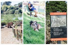 top 15 dog parks in san francisco a