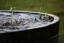 rainwater stock photos royalty free