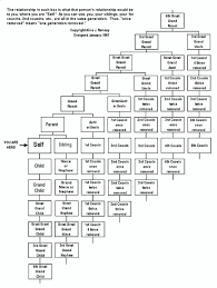 Finally An Easy To Read Extended Cousins Family Tree Line