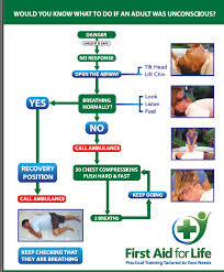 Adult Resus Flow Chart First Aid For Life