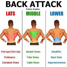 Back Workout Complete With 8 Exercises Gym Workouts