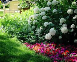 best shade loving flowers for shade gardens