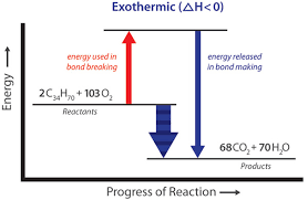 Exothermic Endothermic Chemical