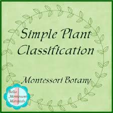 Simple Plant Classification Montessori Botany