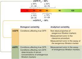 Knowing Your Gfr When Is The Number