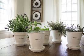 I'm so excited to spend some time with you all over the next year blogging about gardening. 15 Diy Indoor Kitchen Herb Gardens Crock Pot Ladies