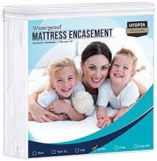 10 best bed bug mattress covers
