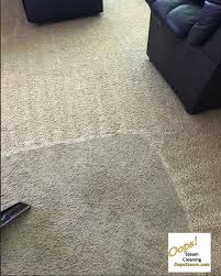 same day carpet cleaning houston oops