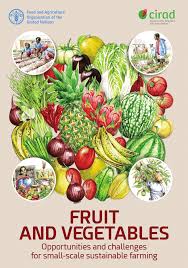 pdf fruit and vegetables opportunities