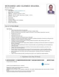 The financial manager has to interpret different financial statements. Finance Manager Cv 2015