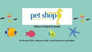 Common health problems of fish. Colchester Pet