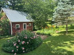 my summer perennial garden