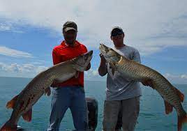lake st clair fishing guide part 2