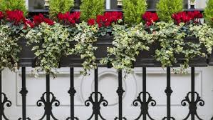 This post may contain affiliate links. Bright Berries And Winter Window Boxes Bring Joy To Your World