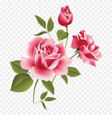 Here are 18 to choose from, including petunia pink angel's trumpet is tinged with a light salmon pink at the ends of its flowers; Pink Rose Flower Png Transparent Png Gnome Look Org